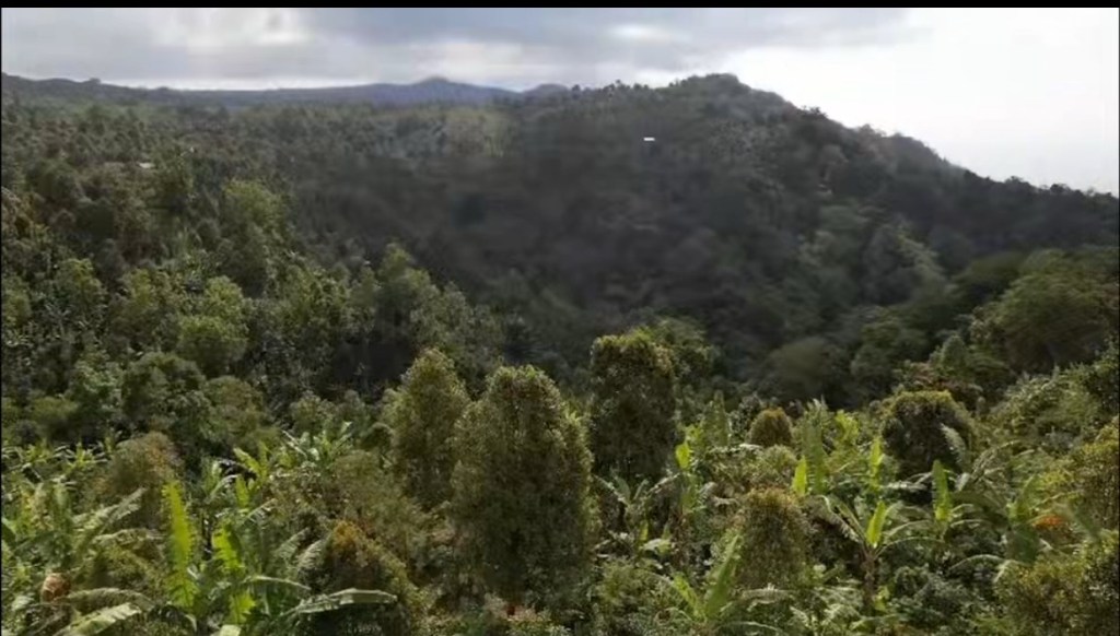 What comes Next – The Falls Journey Continues